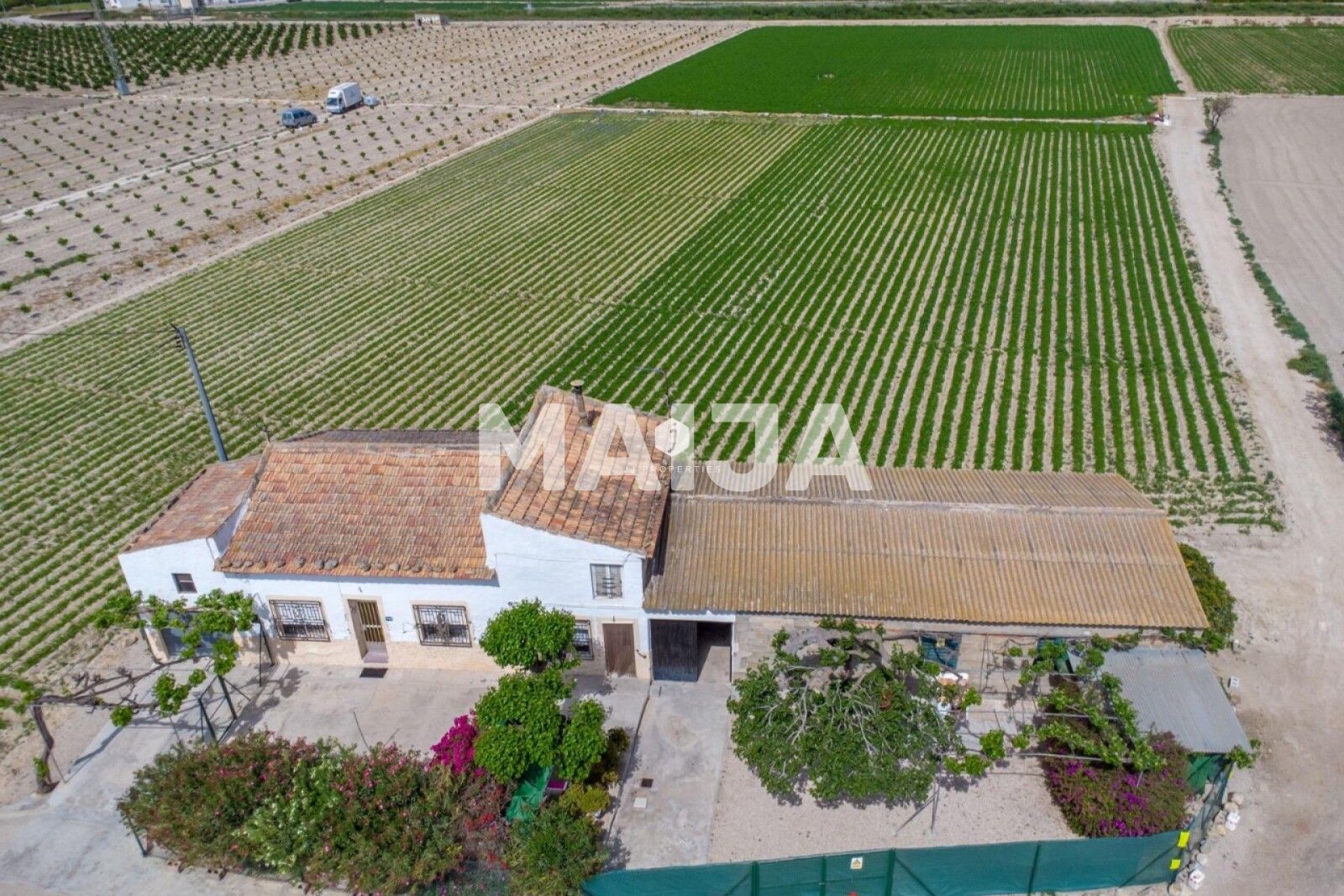 House  Orihuela, Spain