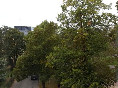 Immobilie Bild