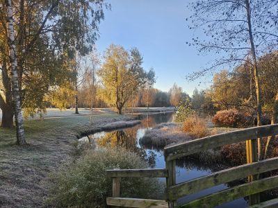 Eiendomsbilde