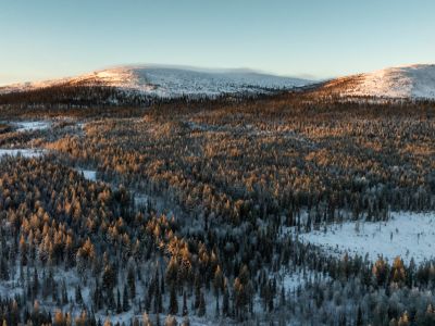 Меншік бейнесі