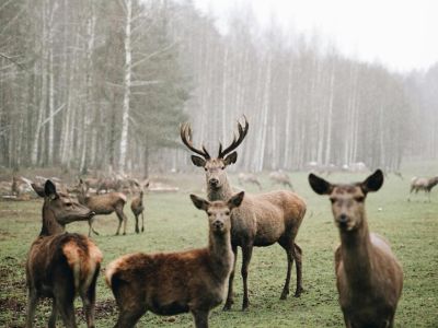 รูปภาพอสังหาริมทรัพย์