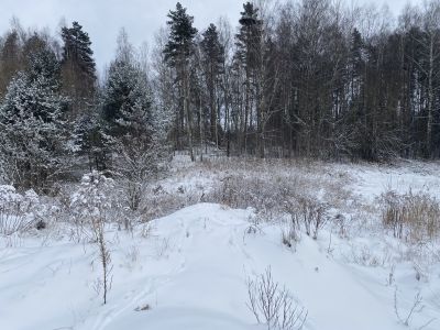 Imaginea proprietății