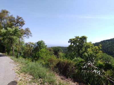                                                      صورة العقار