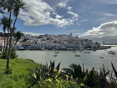                                                      صورة العقار