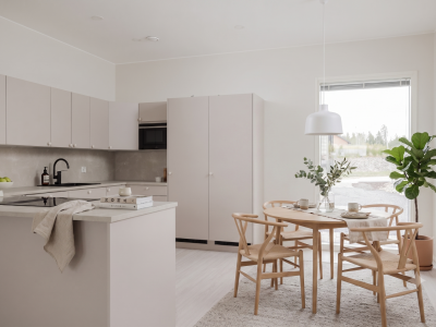 Nuosavybės vaizdas